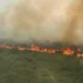 Governo aposta em queima controlada contra incêndios no Pantanal