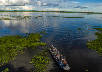 Pesca esportiva no Pantanal de Corumbá é vivenciar a vida pantaneira no curso do rio