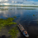 Pesca esportiva no Pantanal de Corumbá é vivenciar a vida pantaneira no curso do rio