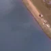 Três crianças morrem afogadas após carro cair em lagoa no DF