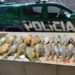 Homem é encaminhado para delegacia de Anastácio por transportar pescado irregular