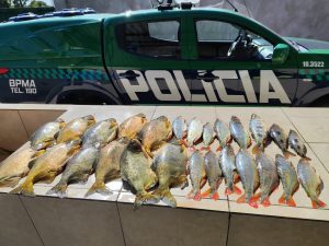 Homem é encaminhado para delegacia de Anastácio por transportar pescado irregular