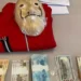 Ação da PF de MS, “La Casa de Papel” vai abastecer CPI das Pirâmides Financeiras