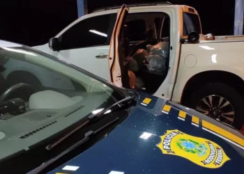 Mais doze sacos de cabelos humanos são apreendidos na BR-419