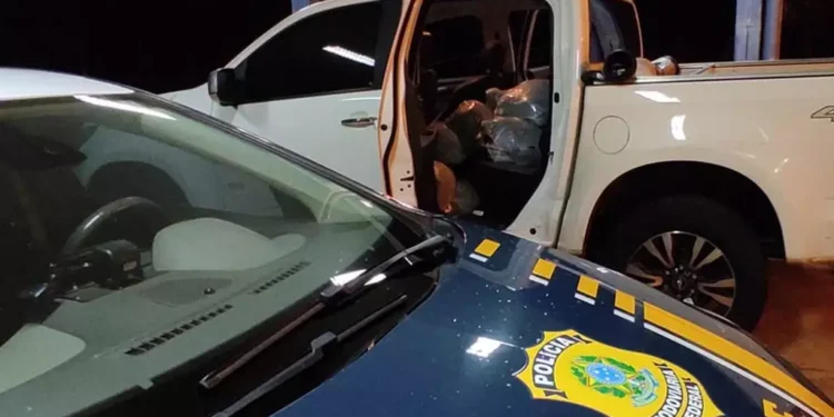 Mais doze sacos de cabelos humanos são apreendidos na BR-419