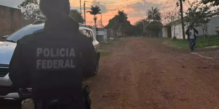 PF mira fraudes em certificados de armas de fogo