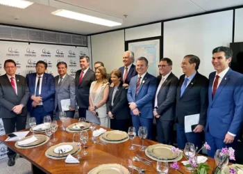 Riedel apresenta a senadores prioridade de MS na votação da reforma tributária