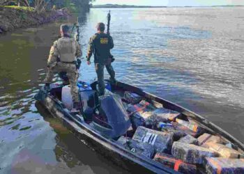 Polícia apreende mais de uma tonelada de maconha avaliada em R$ 2,5 milhões no Rio Paraná