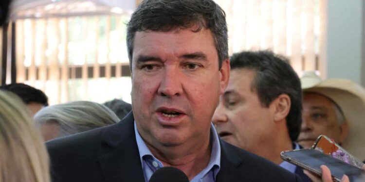 Riedel cumpre agenda nos EUA e busca financiamentos para preservação do Pantanal nesta quinta