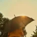 Meteorologia prevê risco de morte com onda de calor