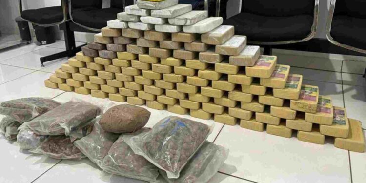PRF apreende cocaína avaliada em mais de R$ 2 milhões e 4,7 quilos de skunk em Miranda