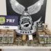 Dois são presos com R$ 9 milhões em cocaína escondidos em carro