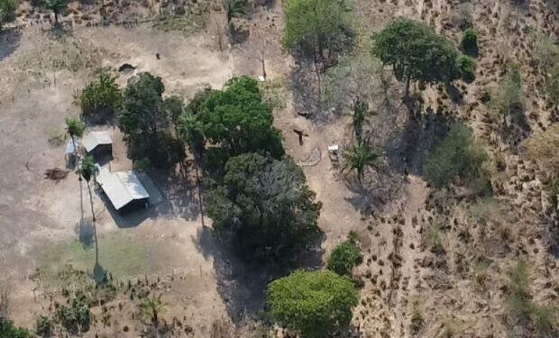 Polícia identifica mortos em confronto durante operação contra furtos de gado em Corumbá