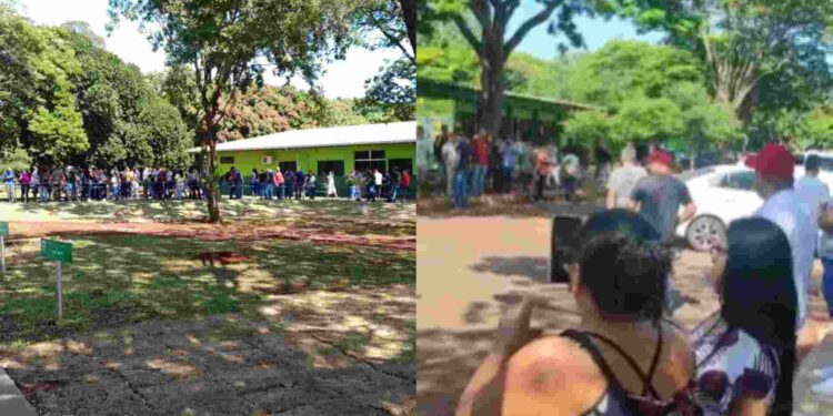 Iagro fecha frigorífico por problema sanitário e revolta funcionários em Campo Grande