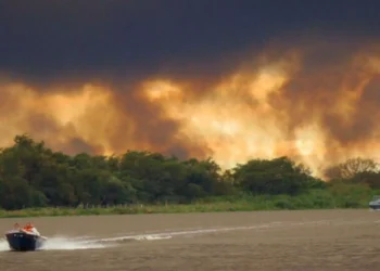 Mato Grosso do Sul tem cinco áreas de conservação com risco crítico para incêndios
