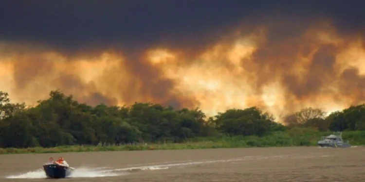 Mato Grosso do Sul tem cinco áreas de conservação com risco crítico para incêndios
