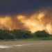 Mato Grosso do Sul tem cinco áreas de conservação com risco crítico para incêndios