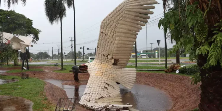 Escultura de tuiuiú do Aeroporto de Campo Grande cai durante temporal