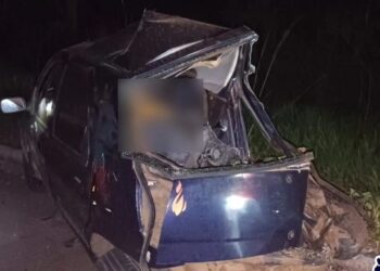 Criança e casal morrem em acidente com carreta na BR-262 após motorista atropelar anta
