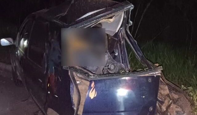Criança e casal morrem em acidente com carreta na BR-262 após motorista atropelar anta