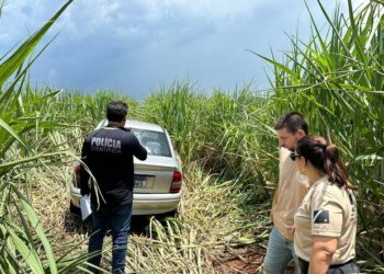 Mulher é encontrada morta dentro do carro em canavial em Nova Andradina