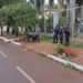 Motociclista morre após bater em árvore depois de perder controle da direção em Dourados