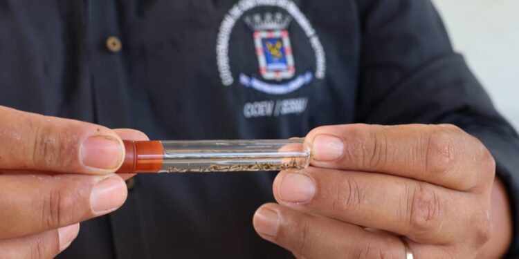 Mato Grosso do Sul confirma mais duas mortes por dengue em uma semana