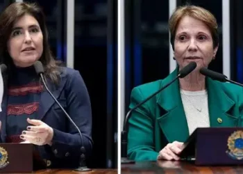 Mato Grosso do Sul é o Estado que mais elegeu mulheres no Senado, diz pesquisa