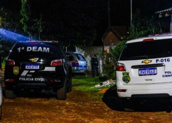 Mulher é morta pelo irmão com pedradas no rosto e tem o pescoço cortado com serrote