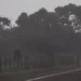 Primeira frente fria em Mato Grosso do Sul derruba temperaturas para 15°C