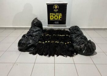 Casal é flagrado com 44 quilos de cabelo humano avaliados em R$ 440 mil em Corumbá