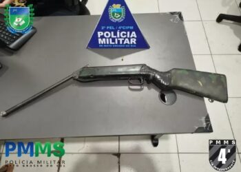Convidado mata gato com as mãos e ameaça família em Costa Rica