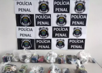 Drones, terceirizados e corrupção: como celulares viraram negócio milionário nas cadeias da Agepen