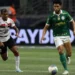 Estêvão marca no final e garante vitória do Palmeiras sobre o Botafogo-SP na Copa do Brasil