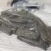 Mãe denuncia filho adolescente após encontrar maconha em armário de casa em Dourados