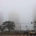 LISTA: Com frio de 5°C, cidades de MS registram menor temperatura do ano nesta terça-feira