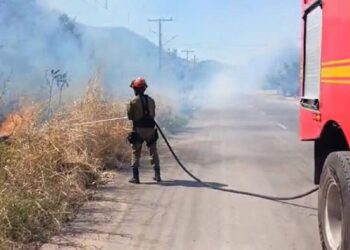 Além de queimada no Pantanal, fogo em terrenos afligem moradores de Corumbá