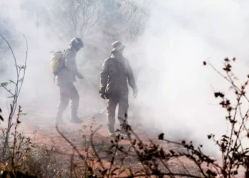 Bombeiros utilizaram 7 mil litros de água para conter incêndio que deixou famílias desabrigadas na Aldeia Água Bonita