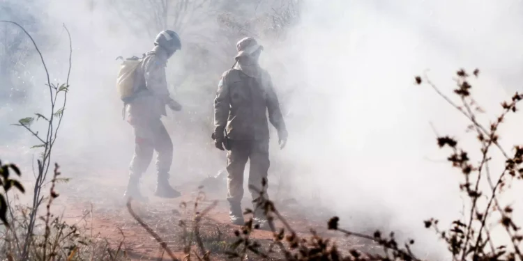 Bombeiros utilizaram 7 mil litros de água para conter incêndio que deixou famílias desabrigadas na Aldeia Água Bonita