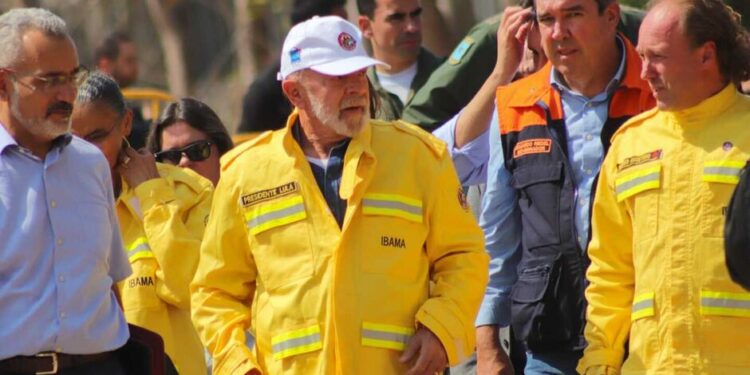 Riedel elogia Lula por reforço no combate a incêndios no Pantanal