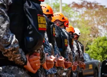 Governo federal determina emprego da Força Nacional em municípios do Pantanal