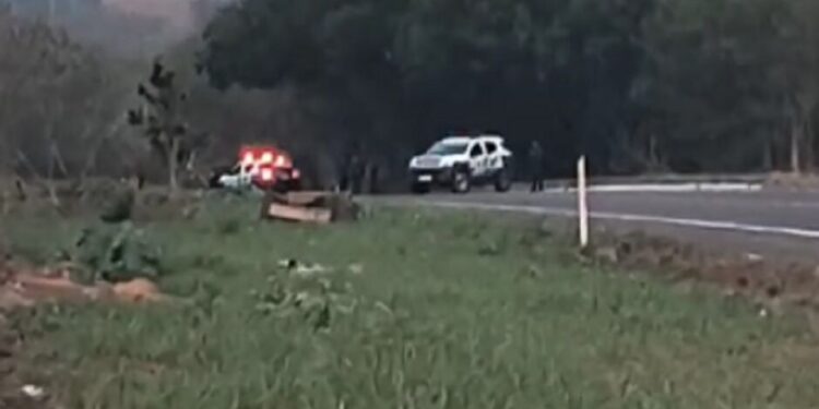 Ossada é encontrada em área de vegetação nas margens da rodovia BR-262, em Campo Grande