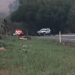 Ossada é encontrada em área de vegetação nas margens da rodovia BR-262, em Campo Grande