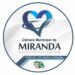 Candidatos a vereador mais votados para a Câmara dos Vereadores em Miranda