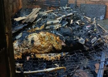 Bombeiros agem rápido e salvam casa de destruição total em Aquidauana