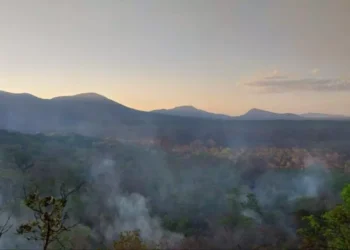 Pantanal registra 317 focos de incêndio e fumaça cobre o Estado nesta sexta-feira