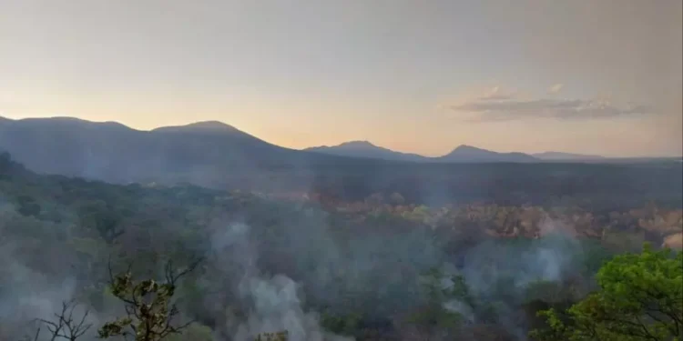 Pantanal registra 317 focos de incêndio e fumaça cobre o Estado nesta sexta-feira