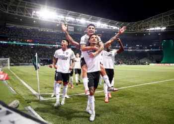 Botafogo bate Palmeiras no Allianz e reassume liderança do Brasileirão