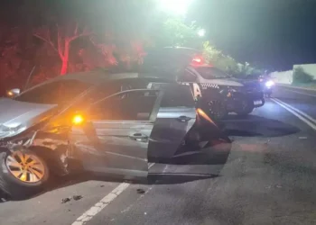 Motorista que bateu durante fuga intermediava venda de arma