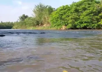 Jovem desaparece ao entrar para nadar no Rio Aquidauana